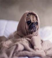 六安有这样的手机号码，留不住钱，你中枪了吗？