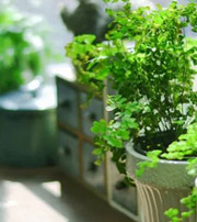 六安专属于你的开运指南，助你鸿运当头福满身！