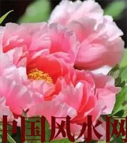 六安预示你财运上升，姻缘可成的梦境，快来看看吧！