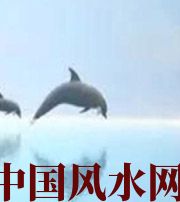 六安做梦梦到这些，是要富裕的征兆！