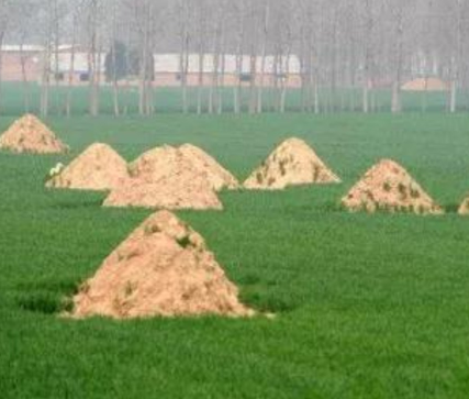 六安阴宅风水：形峦三十六绝